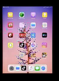 ايباد • ٣٢ • العلاوي