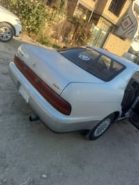 مكفوله • كفاله عامه • بابل القاسم