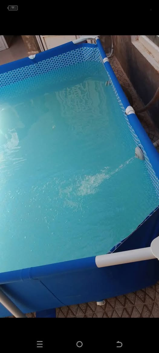مسبح للبيع النظافة ٩٥٪ استخدام قليل 
الطول مترين ونص والعرض ١٦٠سم والارتفاع ٦٥سم مع فلتر تصفية للماء وغطاء للمسبح /السعر  ١٣٠
للاتصال ***********
