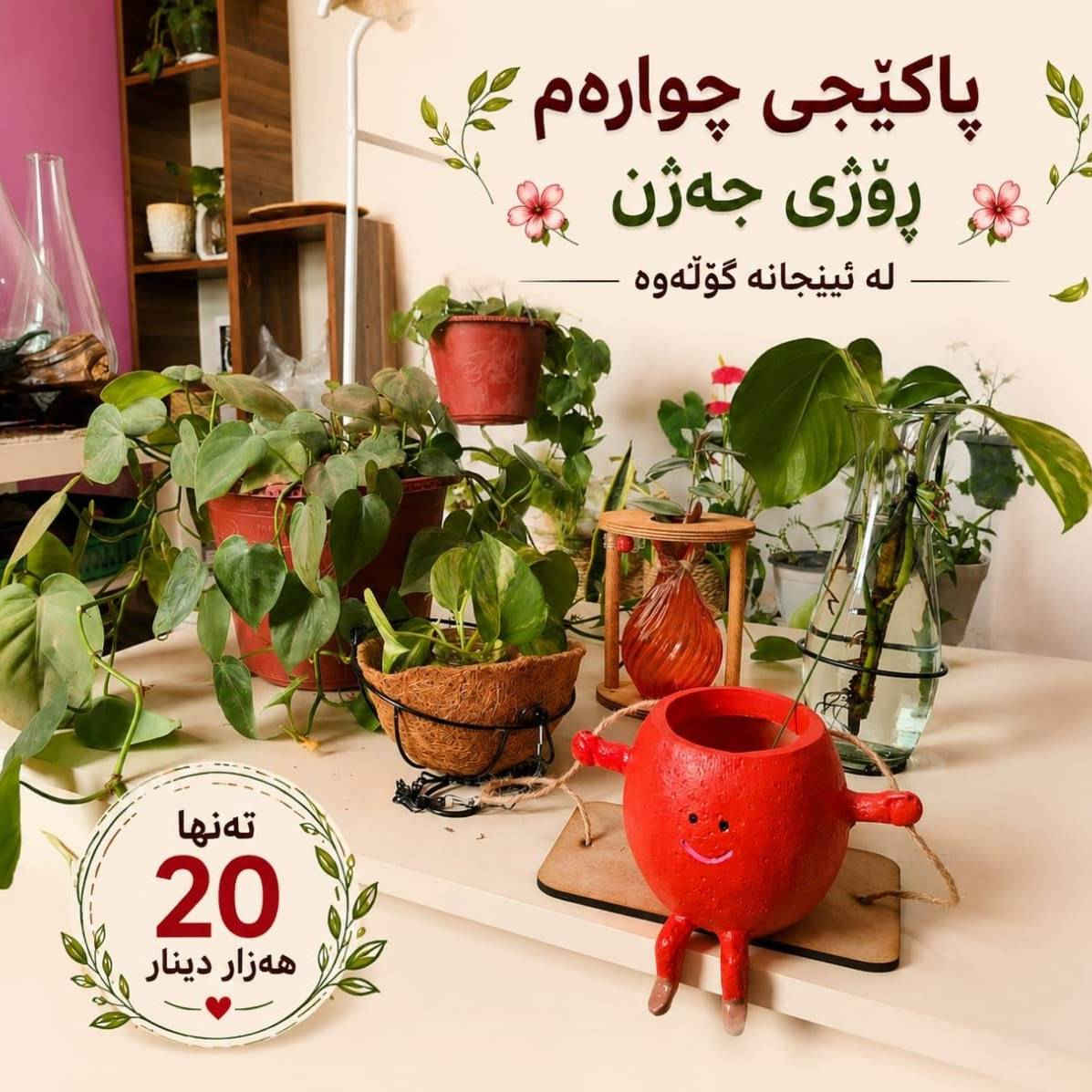 ئەم پاکێجانە زۆر لەوە جوانترن کە تەنها وێنەیان ببینیت 😍
فرۆشتنی تایبەتی جەژن.. بە نرخێکی گونجاو و دیزاینێکی نازدار 🎁
خێرا بن، ژمارەی پاکێجەکان سنووردارن 💫


**إذا كنت صاحب هذا الإعلان وتريد حذفه لأي سبب، رجاءا أرسل رسالة إلى الدعم الفني**