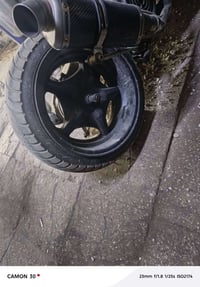 ويل سكنس • عريض • نضافة