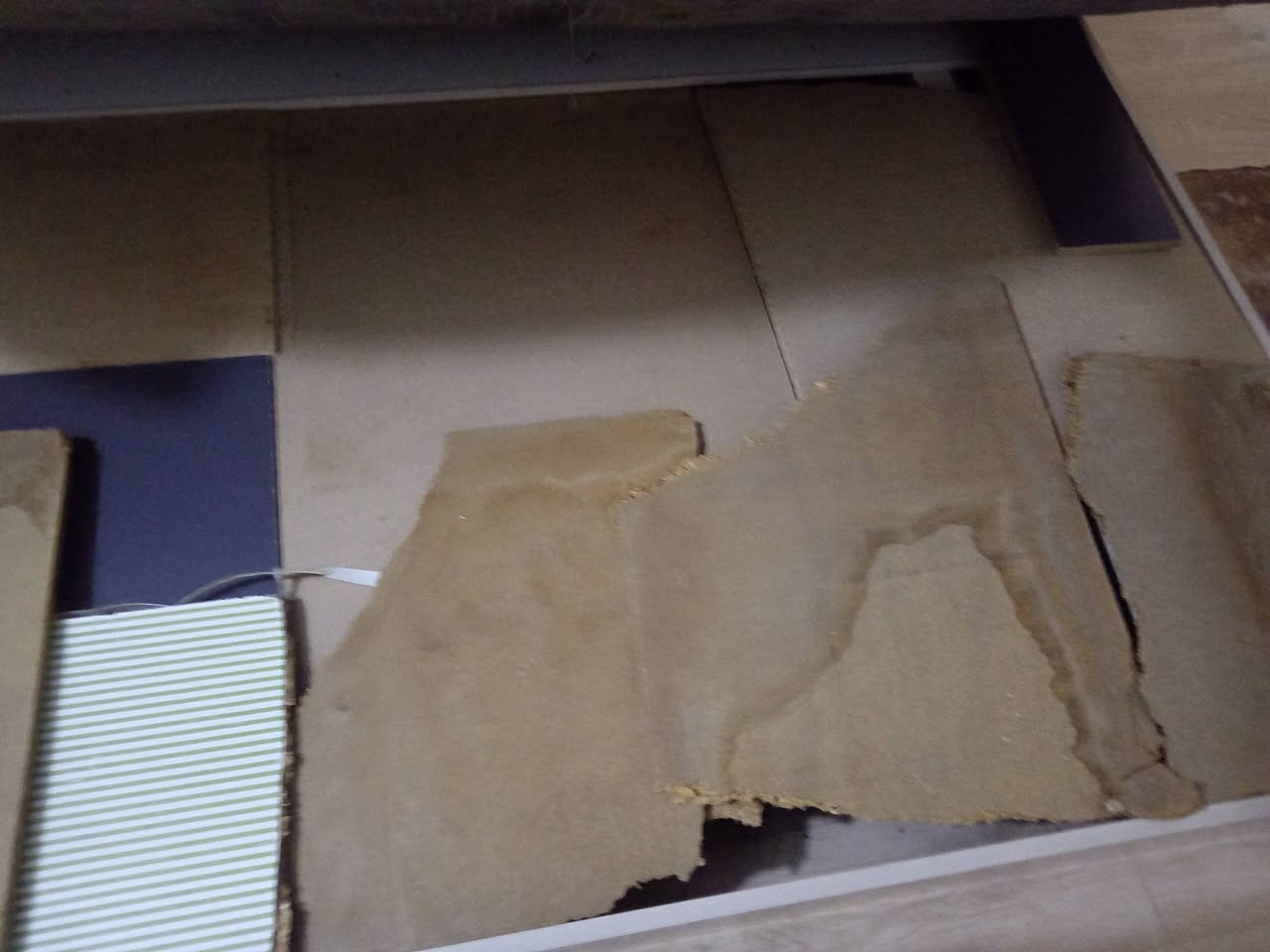 غرفه نوم تركي فقط بي ضررين لجربايه فايبره مكسره وداخل كنتور واحد من بيبان شويه نكسرت لين بل دريل راح زايد ويم راس لجربايه واحد من اضويه ماتشتغل هم مكسوره الي يريدها يدخل خاص مكاني سريدات ماعندي توصيل


**إذا كنت صاحب هذا الإعلان وتريد حذفه لأي سبب، رجاءا أرسل رسالة إلى الدعم الفني**