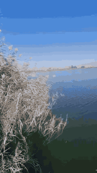 أستثمر أو أسكن مع عائلتك في أول منتجع سكني بأجواء سياحية في قلب بغداد 
متواجدين في مركز المبيعات داخل المشروع 
لزيارة المشروع 
أحجز موعد لزيارتك على الأرقام التالية: - 
***********
***********
