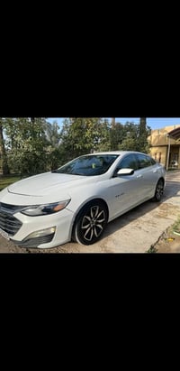 ماليبو • ٢٠٢٤ • رقم بغداد