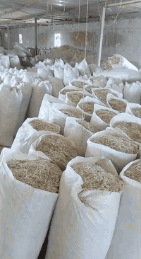 تبن مال شعير درجه اولى ناعم ***********  واسط قضاء الحي
