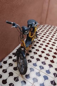 بدون بطارية • بعقوبة • دراجة كهربائية