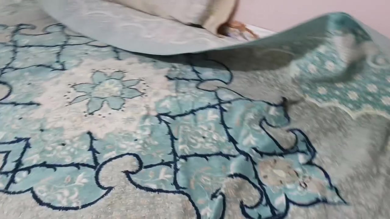 العنوان ناصريه خلف دائره الزراعة   *********** تعال واشوف بعينك
