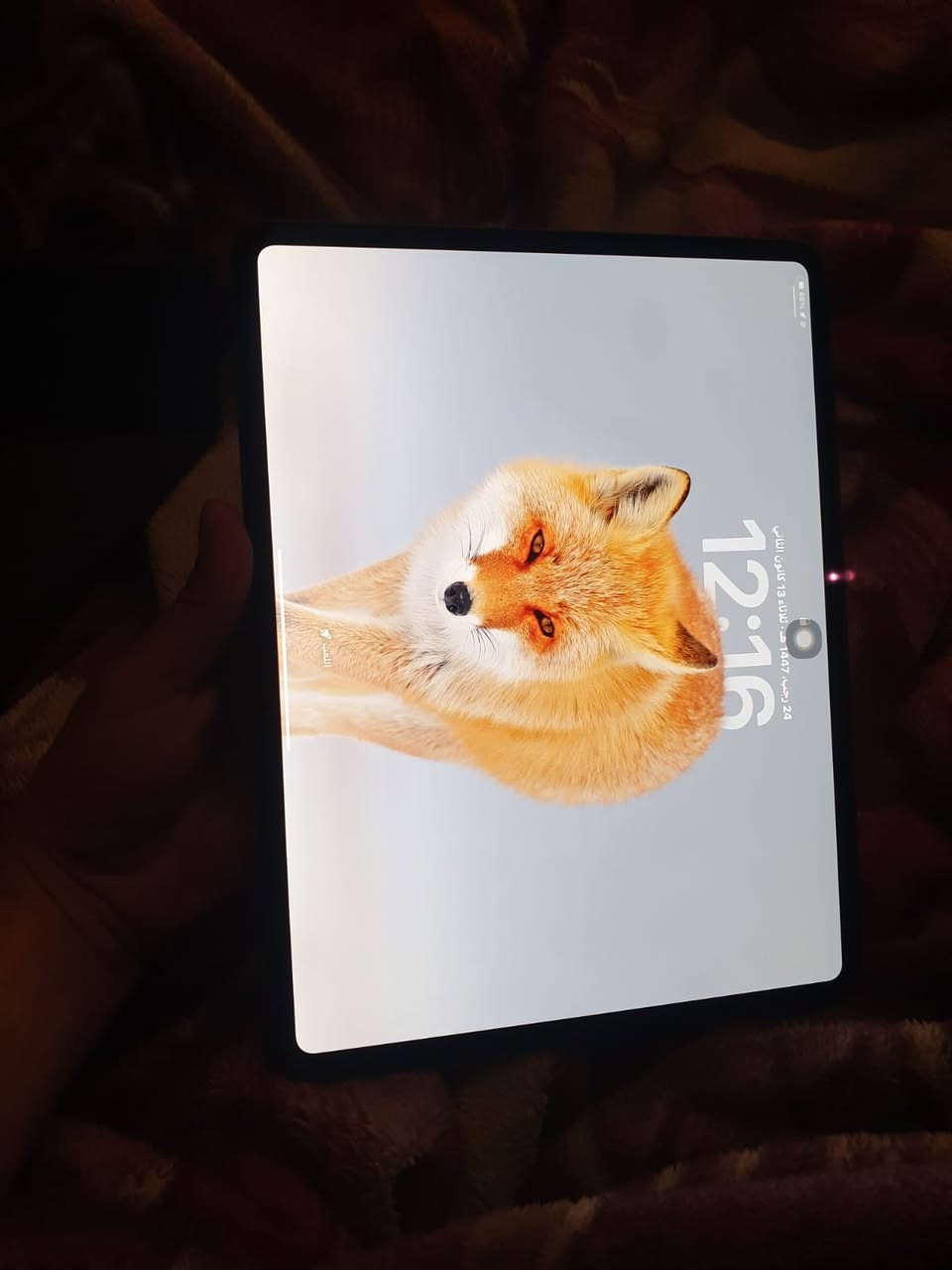 سلام عليكم
بيع او مراوس 
ايباد برو (13انج)
معالج M4
بطارية 99 نزلت بالتحديث
نظافة 100 استخدام قليل
السعر مليون و100
***********
