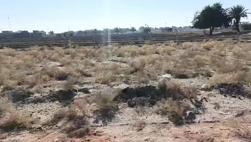 يا الله عرض مميز
يعلن مكتب الرحمن حله شارع 100
عن وجود قطعه 200متر طابو زراعي سند 25 تحويل مباشر 
بسعر مناسب كلش 
خدمات كامله 
تصير سكن او استثمار 
الوجها 10والنزل 20 
المنطقة زينه هدوء 
كلش قريب على العلويه شريفه بنت الحسن عليه السلام 
العنوان حله قرب العلويه شريفه بنت الحسن 

السعر والتفاصيل أكثر خاص او الاتصال على الارقام او المراجعه مكتب الرحمن حله شارع 100 
#ملاحظة# لمن يرغب في
 عرض عقار او ارضه طابو صرف او طابو زراعي عليه مراسلتنا او الإتصال
***********
***********
