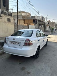 افيو خليجي • ٢٠١١ • ممشاها ٢٨٠٠٠