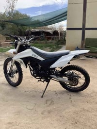 دراجة 21 • أوراق أصلية • كربلاء الحسينية