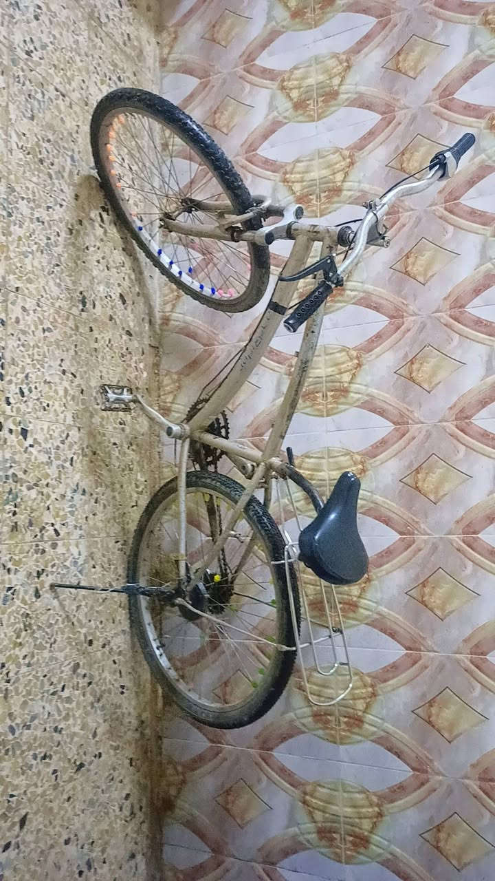 باستكل نضيف شرط كلو جديد مكان ايمن


**إذا كنت صاحب هذا الإعلان وتريد حذفه لأي سبب، رجاءا أرسل رسالة إلى الدعم الفني**