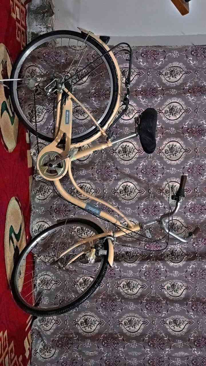 سلام عليكم بايسكل بناتي للبيع رايده 130بي مجال للطيبين هاذ رقمي.  ليحب  ينتصل 
***********
