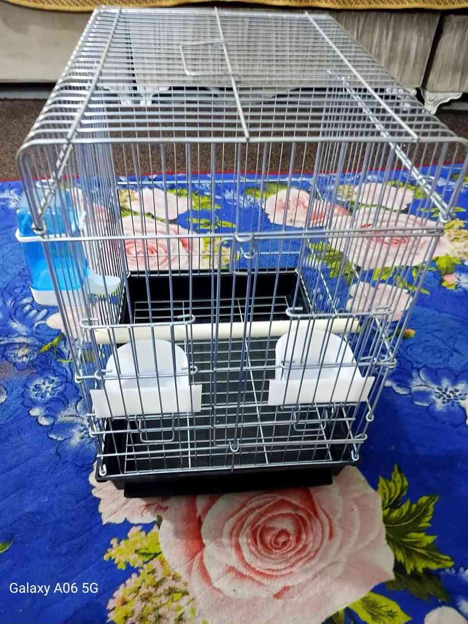 قفص جديد كامل ملحقاته مال ببغاء


**إذا كنت صاحب هذا الإعلان وتريد حذفه لأي سبب، رجاءا أرسل رسالة إلى الدعم الفني**