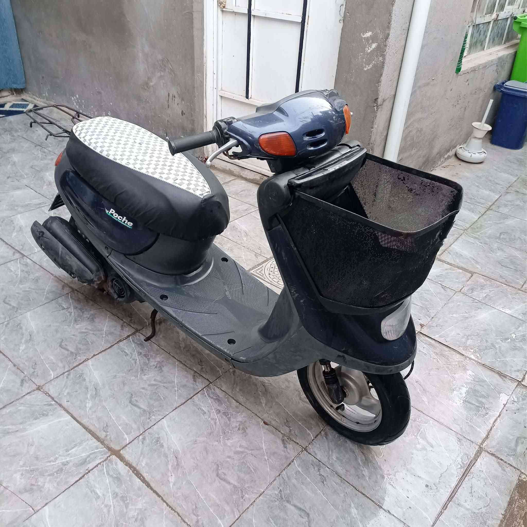 ذبانه منغولي   سعره 👈400👉مكاني ابو صخير راقمي ***********
