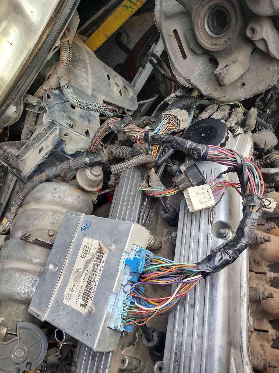 0796101823


**إذا كنت صاحب هذا الإعلان وتريد حذفه لأي سبب، رجاءا أرسل رسالة إلى الدعم الفني**