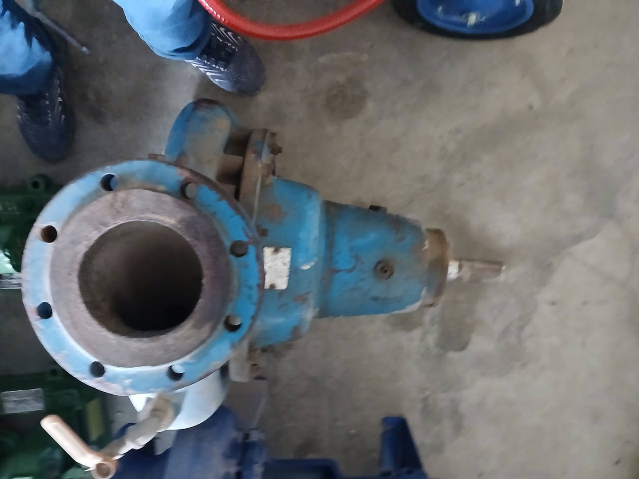 خنزيرة تركيا ضغط عالي بشاره ابراص ٦في٥ الاستفسار ***********سيدرحيم
