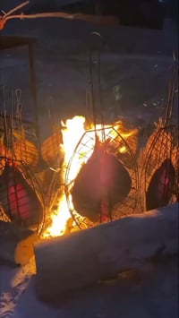 مسگوف • سمك دجلة • توصيل جنوب الموصل