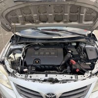 بیکاشۆ • ٢٠١٢ • رانية