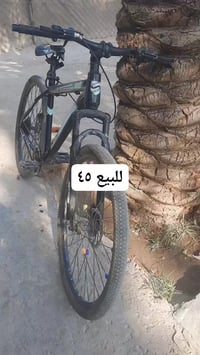 بسكليت • ٤٥