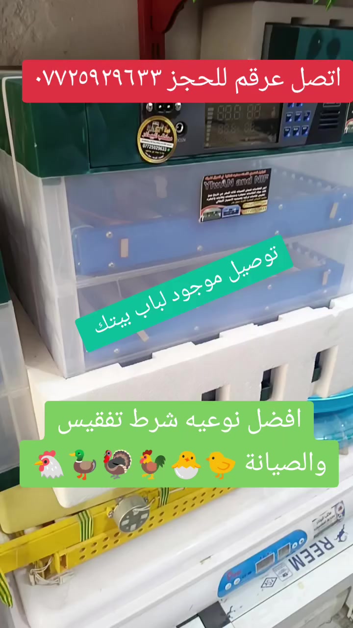 مكتب البيادر البصره القرنه 🦃🐣🐓🐔🔥
يوجد كافه فقاسات الدجاج وشرط الضمان الصيانه والتفقيس أقوى فقاسات متوفره 🐣🐤 اتصل عرقم وتدلل ***********
يوجد توصيل
