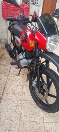 بوكسر • مكفول • ٢٠٢١