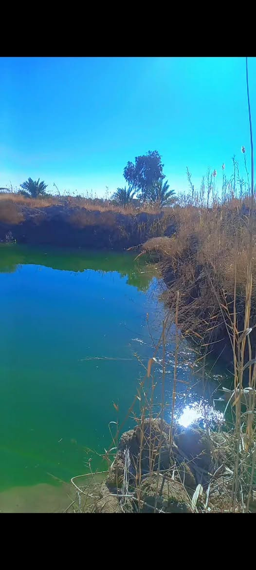 سلام عليكم أرض زراعيه مساحه 9  دونم صنف الأرض عقد 35  مجدد 24  بسمي منطقة جماليه للستفسار اتصل على الرقم ***********
