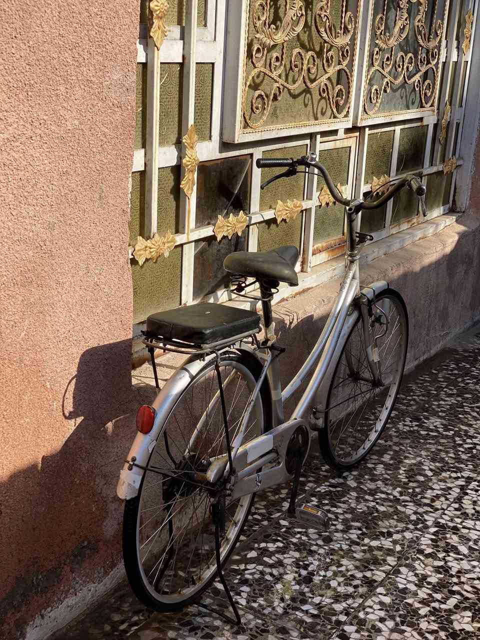 🚲 اري بناتي حجم 26 للبيع

دراجة يابانية POZZA  
خفيفة ومريحة للمشاوير  
بيها حامل وداينمو وضوء  
شغالة تمام وما تحتاج شي

السعر 75 ألف 

المكان: بغداد /  
اللي مهتم يراسل خاص


**إذا كنت صاحب هذا الإعلان وتريد حذفه لأي سبب، رجاءا أرسل رسالة إلى الدعم الفني**