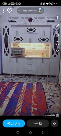 مدينه الصدر • ٥٠٠م • مفصلة