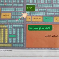 بسماية • ١٥٠م • عروض