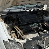 مكفولة • ٢٠١٣ • الديوانية