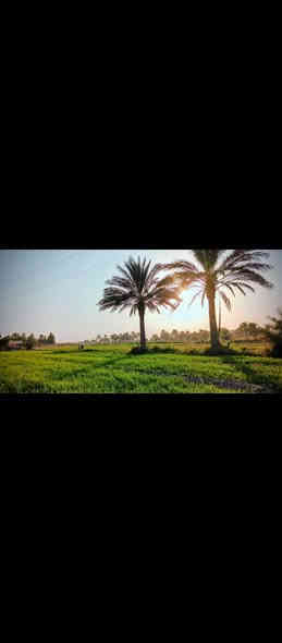 سلام عليكم اخوان ارض زراعيه المساحه🤲 8🌹زراعي عله 117🌹السعر 40بيه مجال 🌹 المكان بغداد الشعله براهيم بن علي ✨ الاستفسار اتصال 🤲🌹عله الأرقم ***********🌹🌹 رجاء مو شراي لا يتصل ☺️🌹🌹
