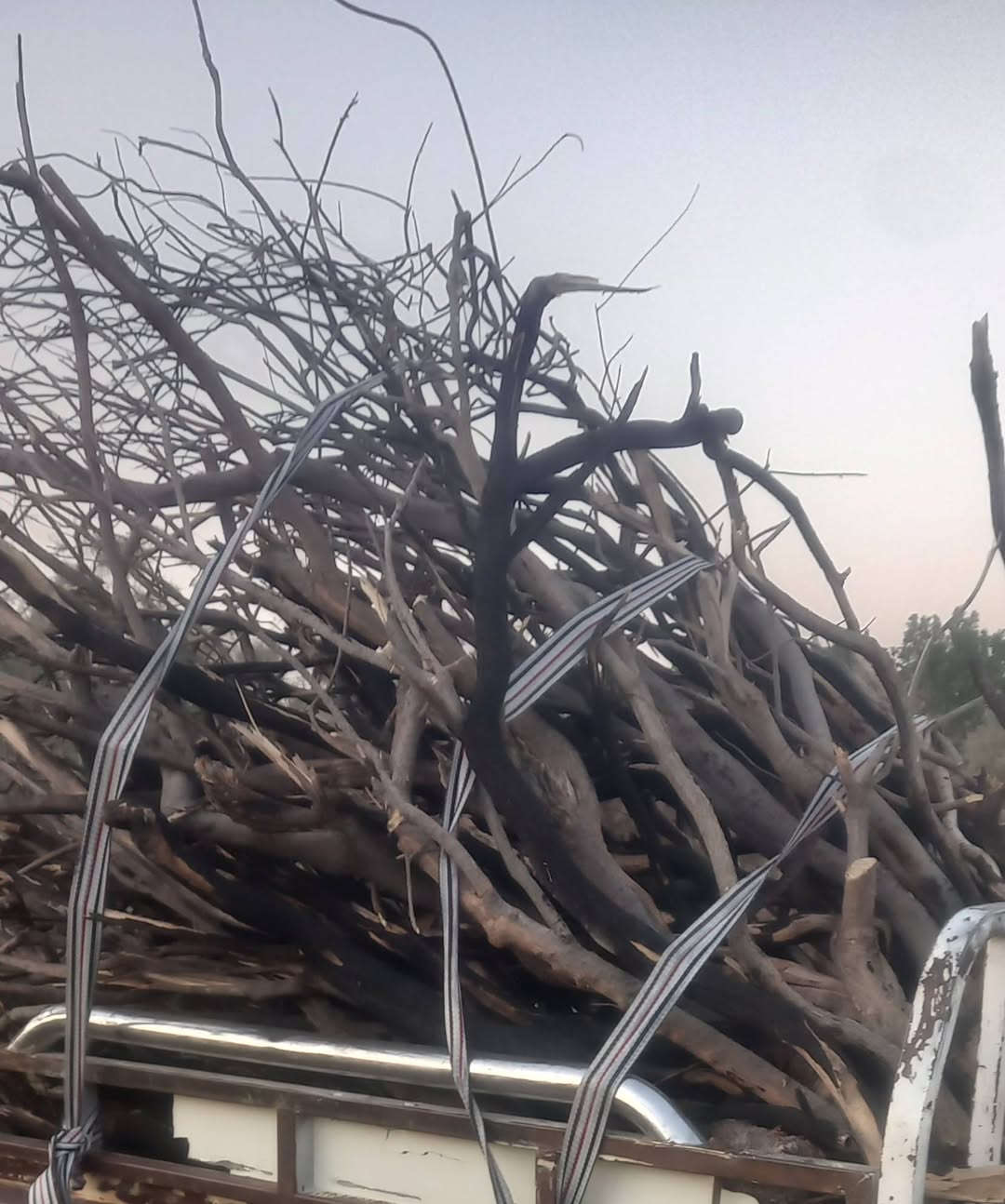 حطب للبيع يابس شرط درب ب5 خمسه وهذا رقمي ***********
