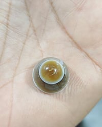 جزع يماني • تخفيصات رمضان