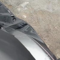 ماكس ثعلب • ٢٠٠٦ • جديده