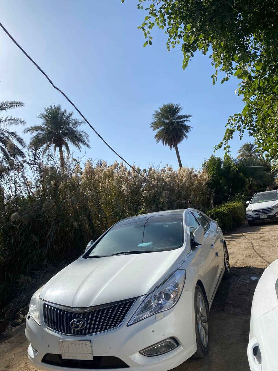 سلام عليكم سياره ازيرا مديل2014مكفوله كفاله عامه فتحه بصمه رقم بغداد تحويل ثاني يوم مكان السيارة المثنى   قضاء الرميثة ترهم مراوس سعر السيارة 145 بيها مجال الرقم الهاتف ‏‪***********‬‏
