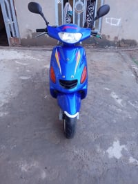 أكزز • ياباني • سلف