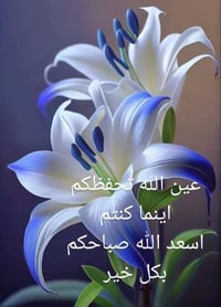 محل احذيه نسائية بحاجه الى عامل او عامله العنوان سوق حي الجهاد شارع ال...