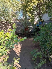 حي عدنان • ٣٠٠م • غرفتين نوم