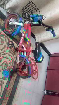 باسكل • جديد