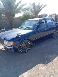 بابل محاويل • اوراق • سنوية