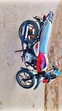 بوكسر هندي • موديل 2022 • بابل شوملي