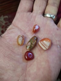 اكسسوارات شخصية • نوع مش معروف • للبيع