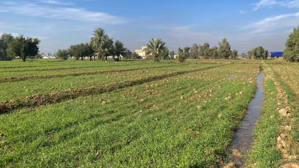 ارض دونمين ونص بغداد سعر الدونم 55
للبيع ارض في بغداد تقاطع النهروان دونمين ونص كاملة الخدمات قرية سكنية رسمية صالحة للسكن او انشاء مزرعة عائلية متوفر 

ماء 

كهرباء

بوري ماء اسالة

سحب وجميع الخدمات 

منطقة جميلة وهادئة مع سياج مجاناً للمشتري واشجار 

الارض محوطة شوارع مثل ما موضح في التصميم وجه 50 نزال 125  للاستفسار مراسلة الصفحة او الاتصال ***********
