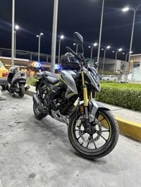 هورنيت • جديدة • مرقمة اربيل