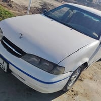 فراشة • بابل • للبيع