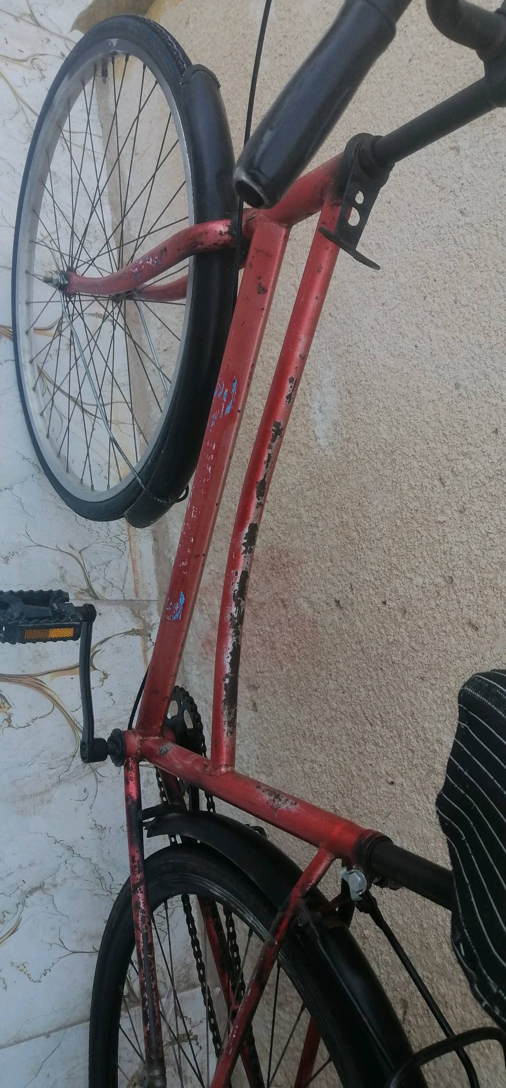 العماره الحولي الف دار 