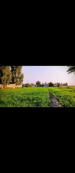 سلام عليكم اخوان ارض زراعيه المساحه🤲 8🌹زراعي عله 117🌹السعر 40بيه مجال 🌹 المكان بغداد الشعله براهيم بن علي ✨ الاستفسار اتصال 🤲🌹عله الأرقم ***********🌹🌹 رجاء مو شراي لا يتصل ☺️🌹🌹
