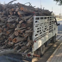 قص أشجار • تنظيف بستان • شراء خشب