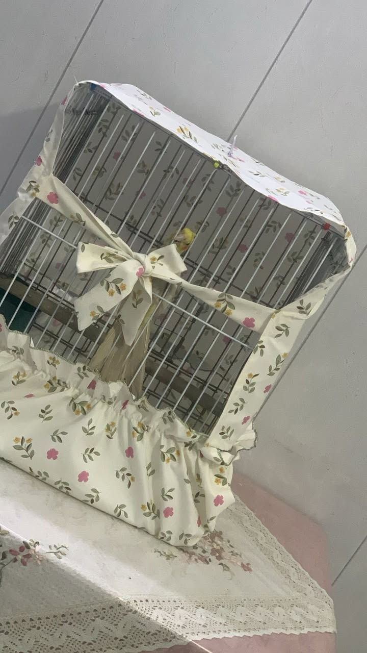 سويت فكرة جديدة لمحبين الحيوانات الاليفة والطيور ❤️🥹تلبيسة قفص طيور🐣🐦 يتكون من قطعتين
قطعة قاعدة للتخلص من النثر والقشور وقطعة غطاء لنوم الطيور 😴
قماش قطني يعبر هواء وسهل الغسل والاستخدام 
اتمنى تنال اعجابكم 
تنفيذ حسب الطلب


**إذا كنت صاحب هذا الإعلان وتريد حذفه لأي سبب، رجاءا أرسل رسالة إلى الدعم الفني**